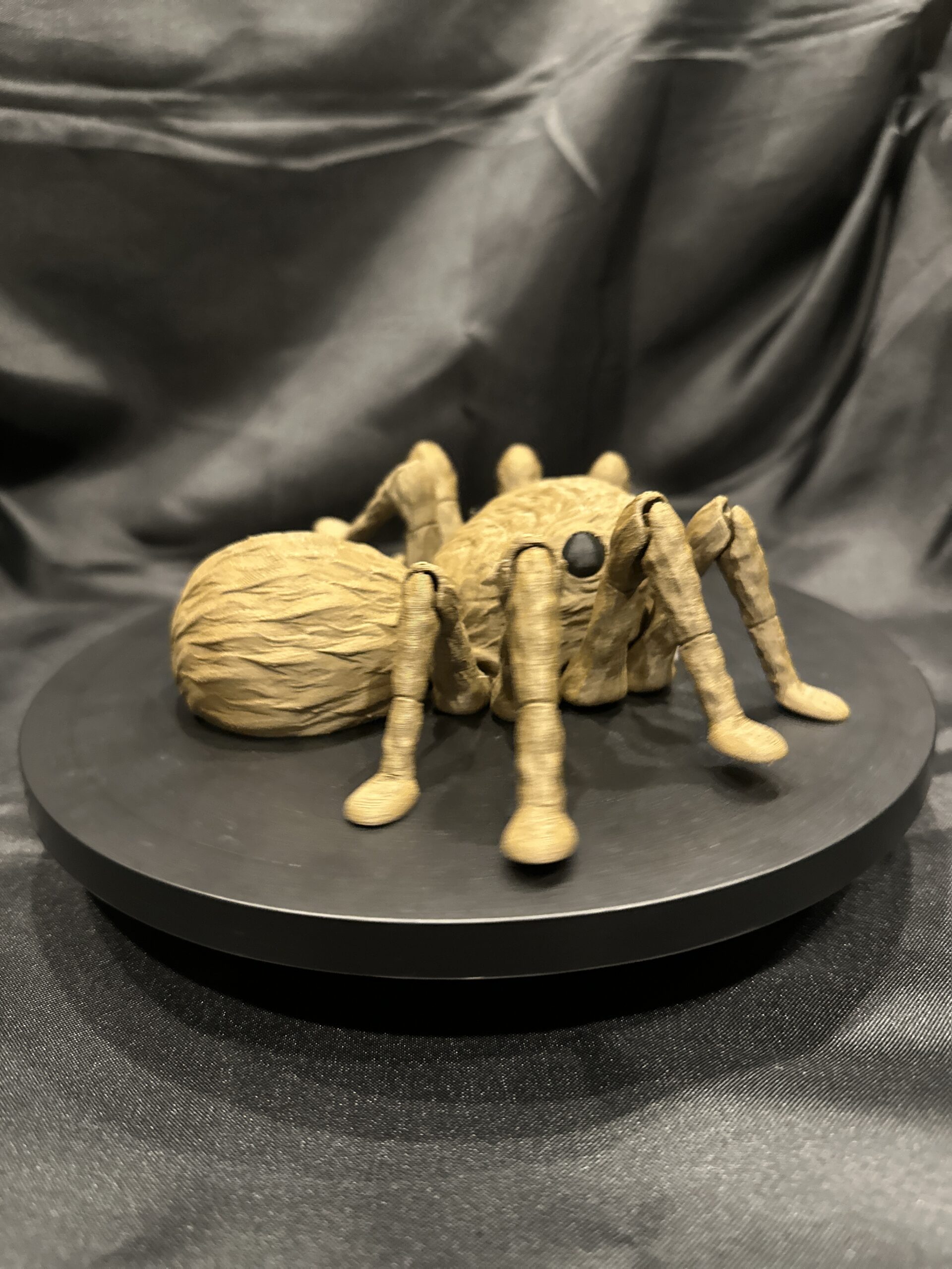 Articulated Itsy Bitsy Spider - Image 4