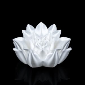 Root of Awakening - Book Stand