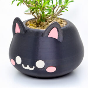 Mini vaso (gato) para suculenta