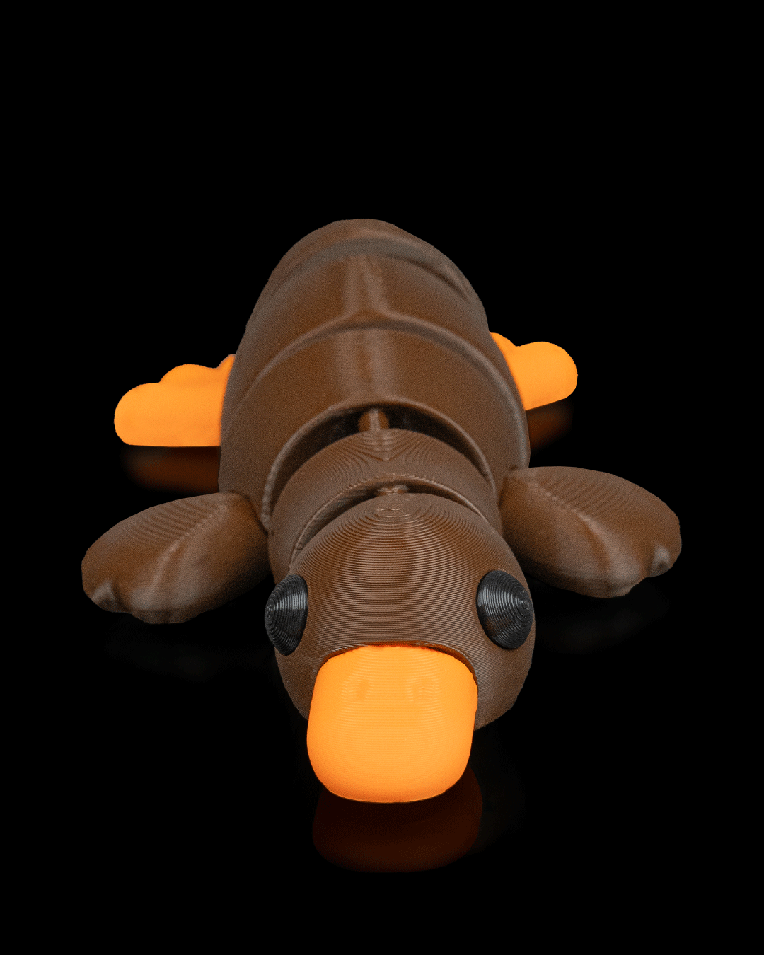 Duck Still - Image 2