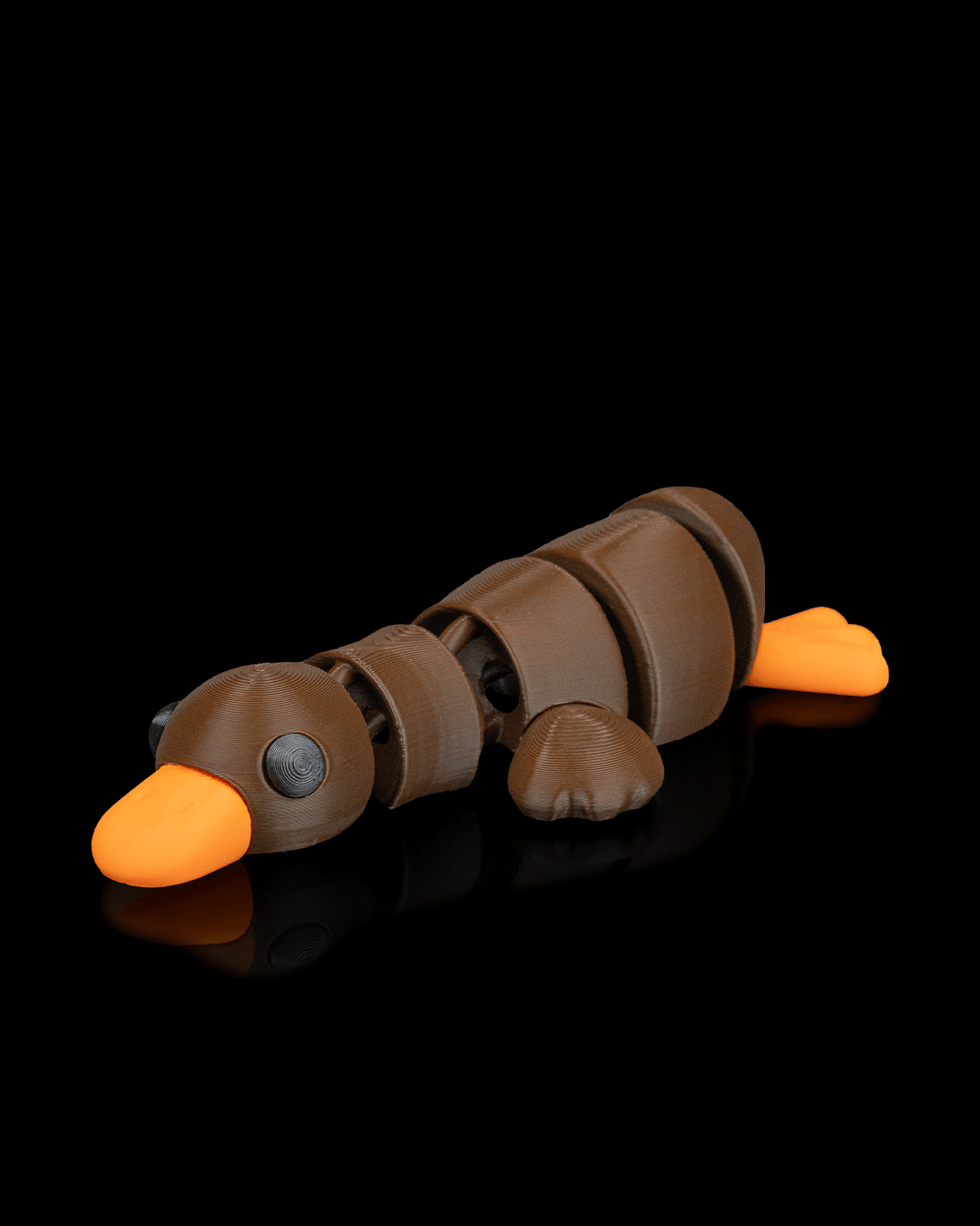 Duck Still - Image 4