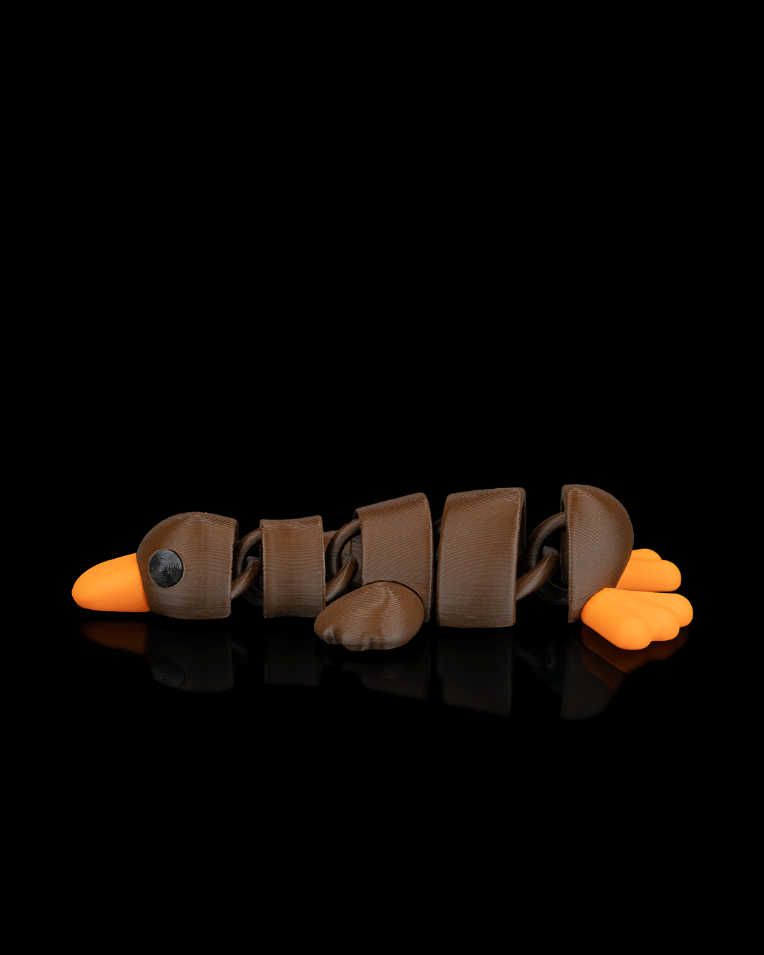 Duck Still - Image 5