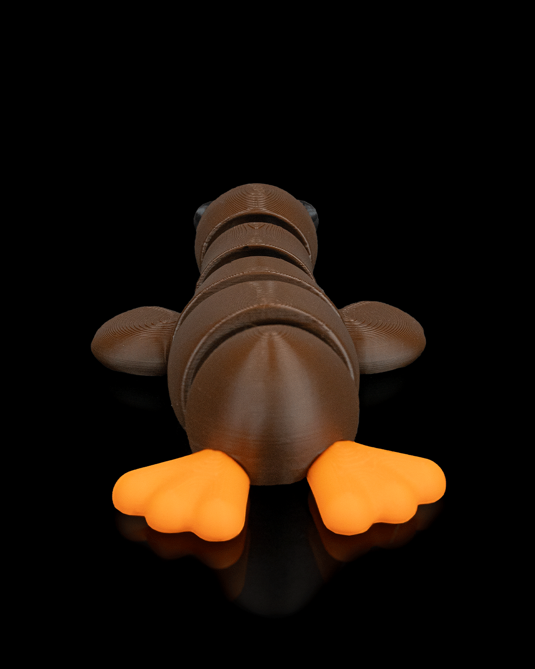 Duck Still - Image 6