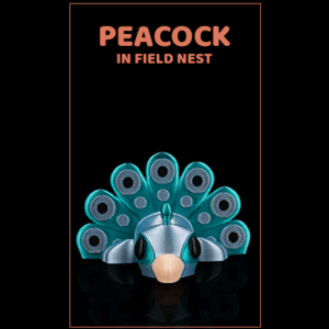 Peacock in Field Nest