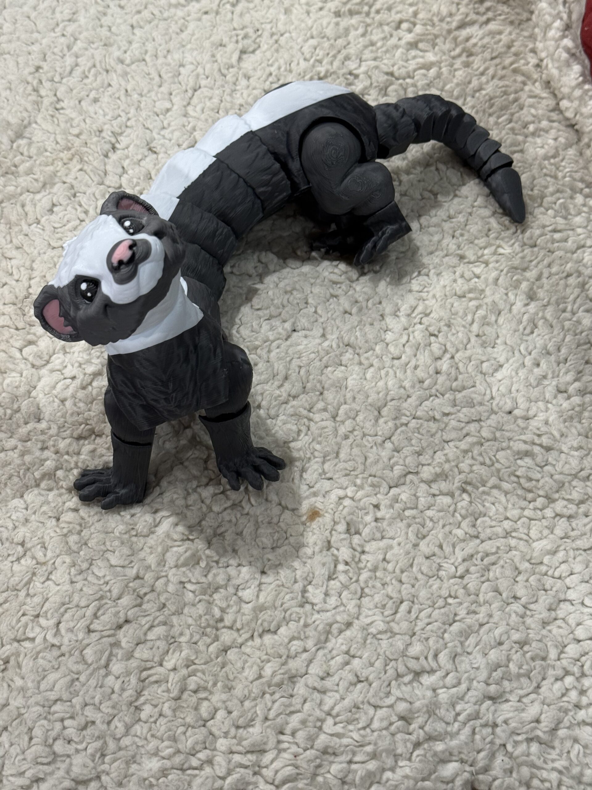 Frisky the Ferret - Image 4