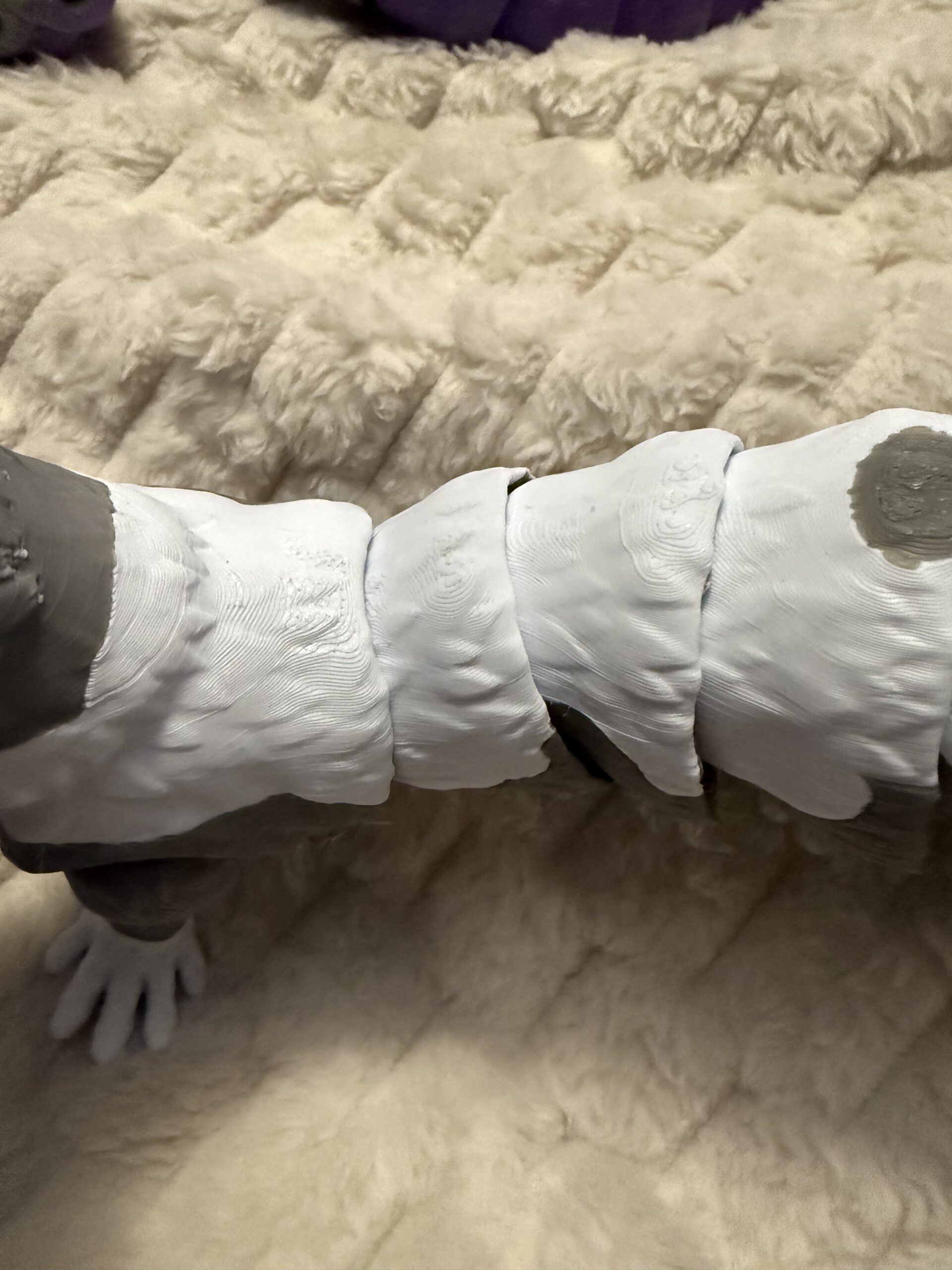 Frisky the Ferret - Image 5