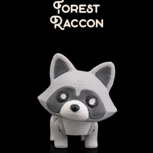 Forest Raccon