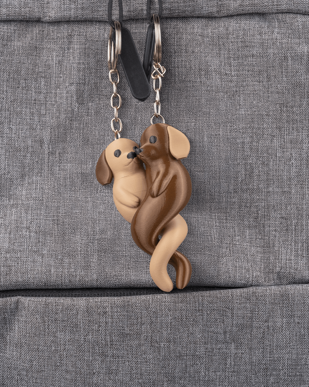 Amor Canino - Image 4