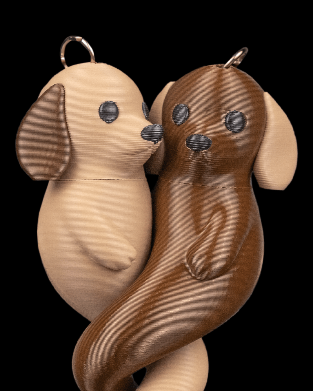 Amor Canino - Image 5