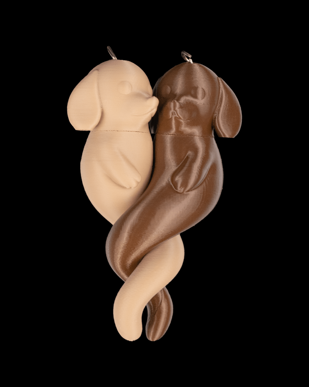 Amor Canino - Image 7