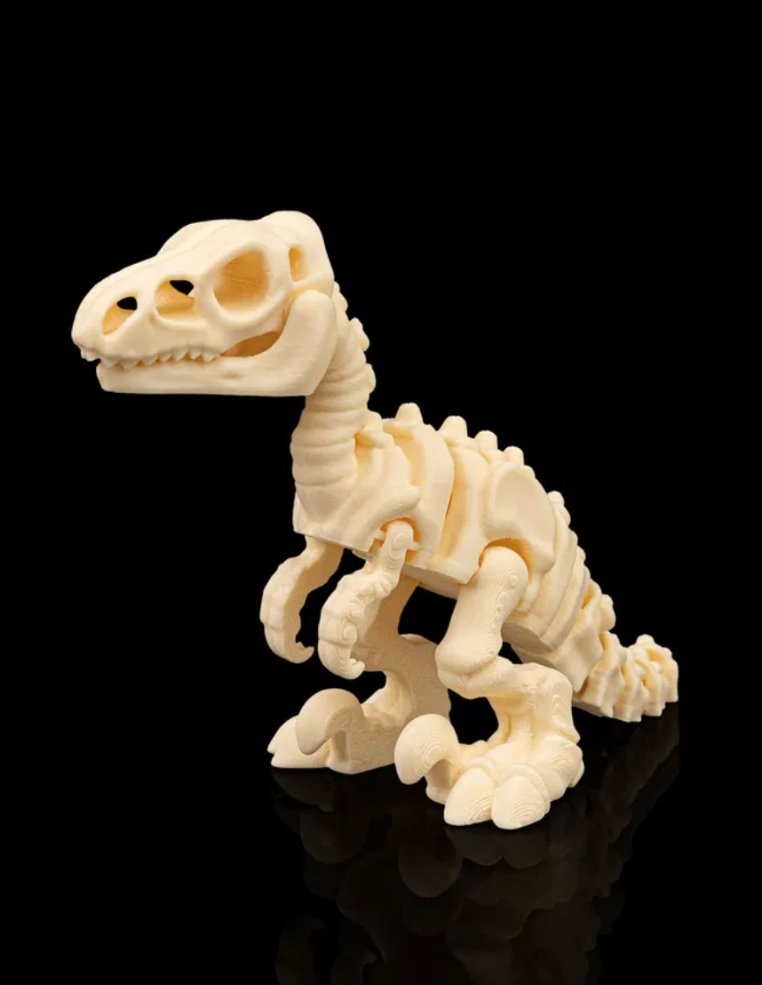 Dino Fossil 3 pack - Image 7