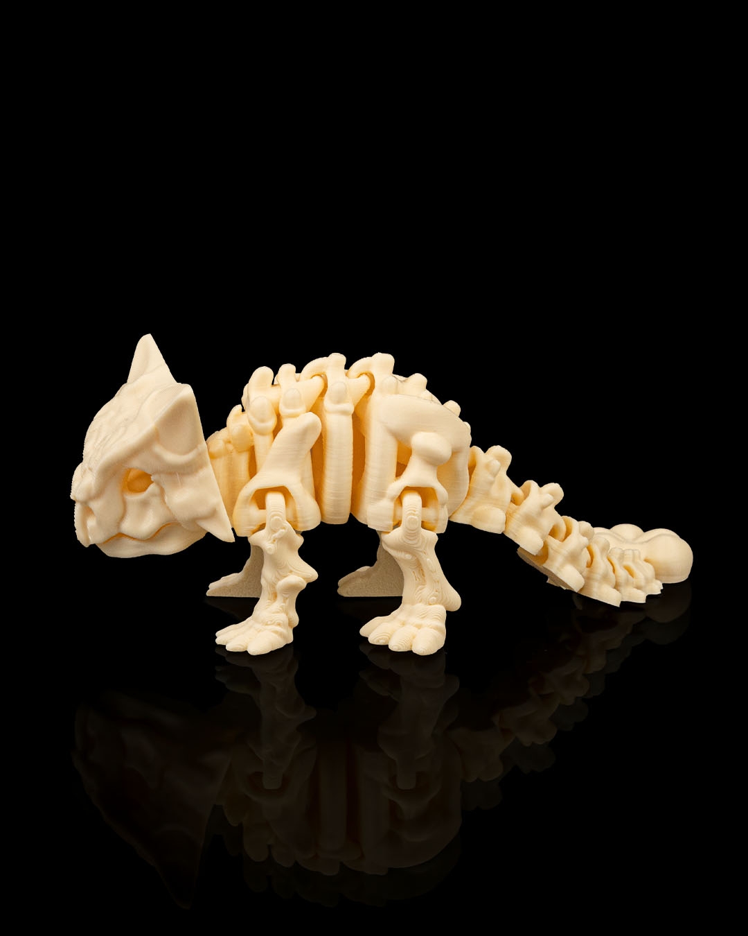 Ankylosaurus Skeleto - Image 5