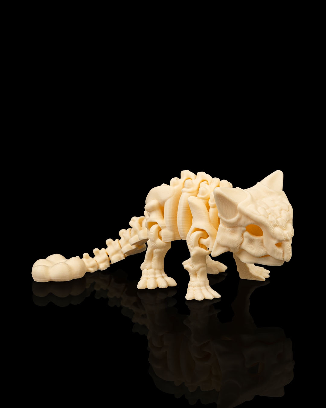 Ankylosaurus Skeleto - Image 4