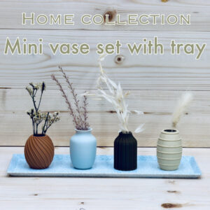 Mini Vase set with tray