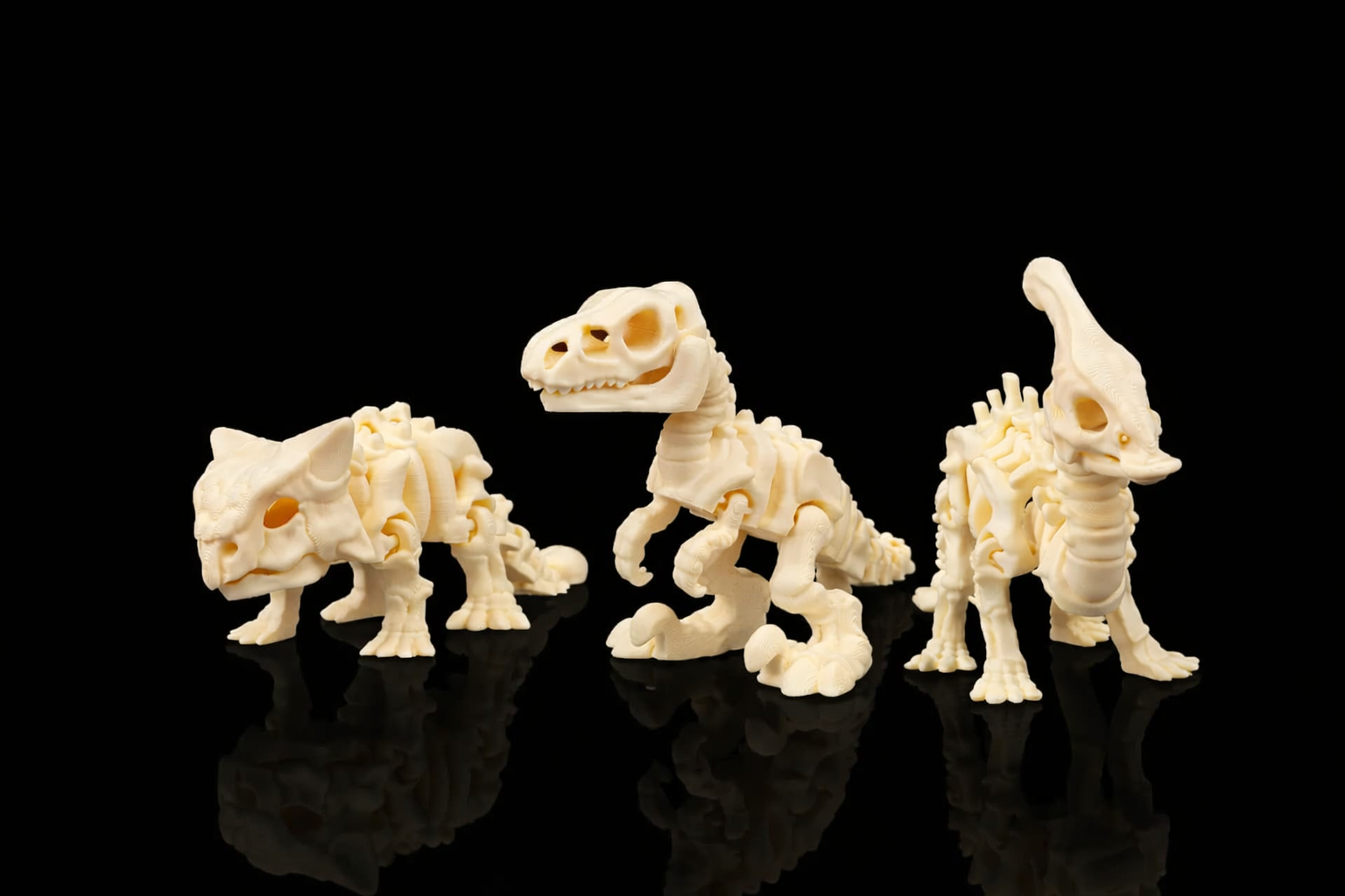 Dino Fossil 3 pack