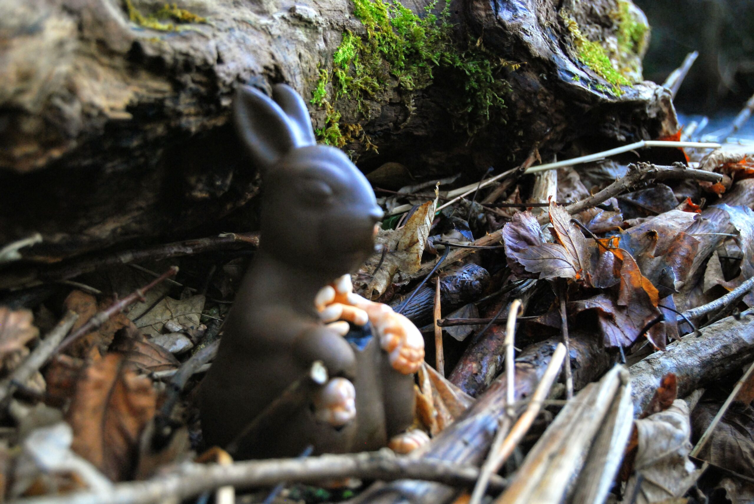 ChocoBunny NONPEINT - Image 4